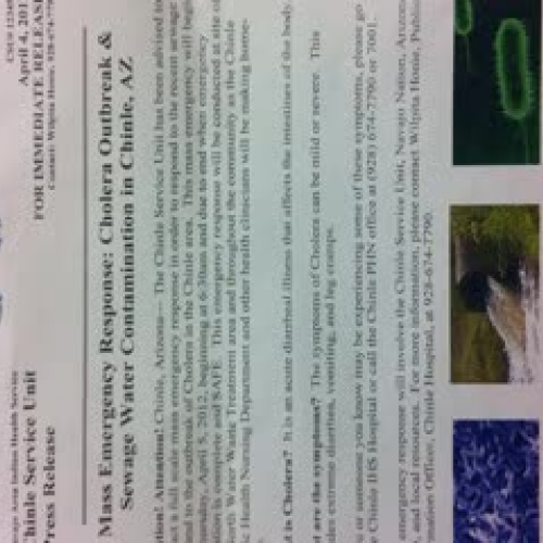 Chinle Cholera