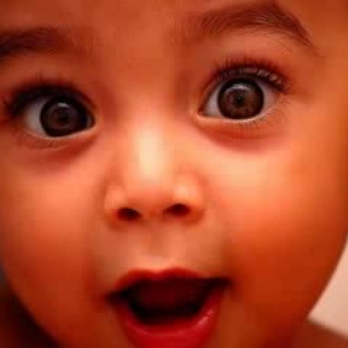 Exponential Growth Project- N.I.K.