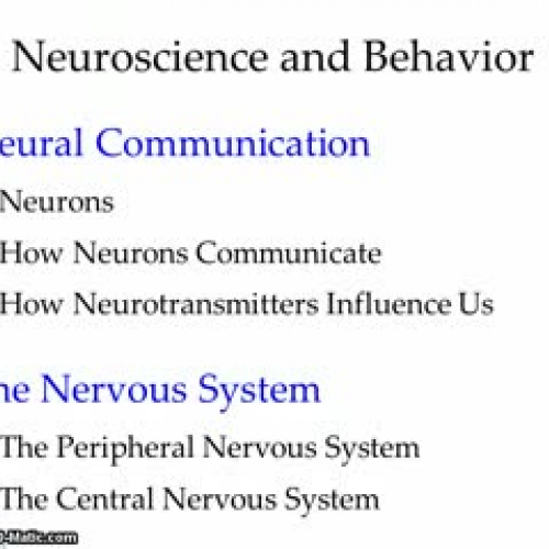 Neuroscience Part I