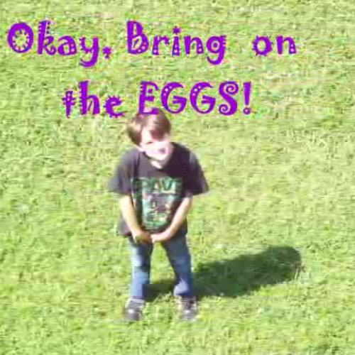 Egg Drop 2012