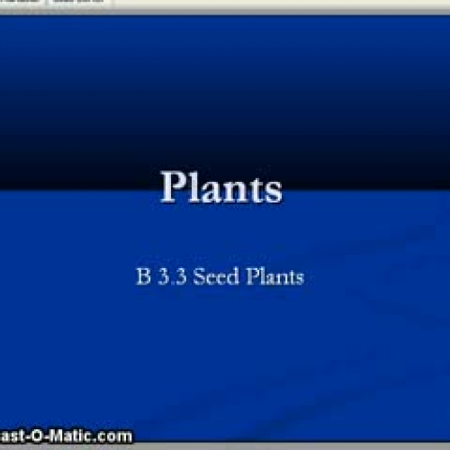 Seeded Plant