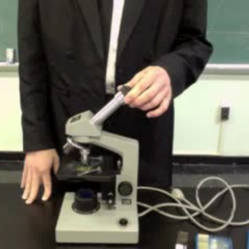 Microscope Intro Lab