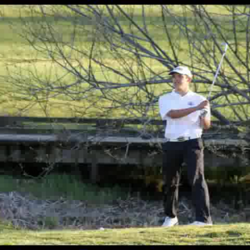 Varsity golf