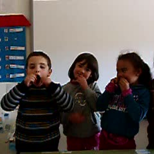 anuncio caballo majo