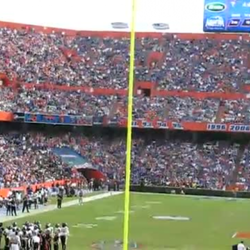 The Wave at Florida Field
