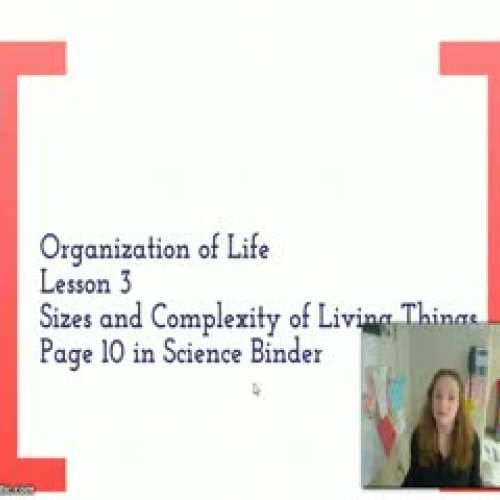 Organization of Life Lesson #3