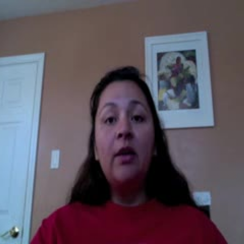 How to use the definite articles in Spanish.