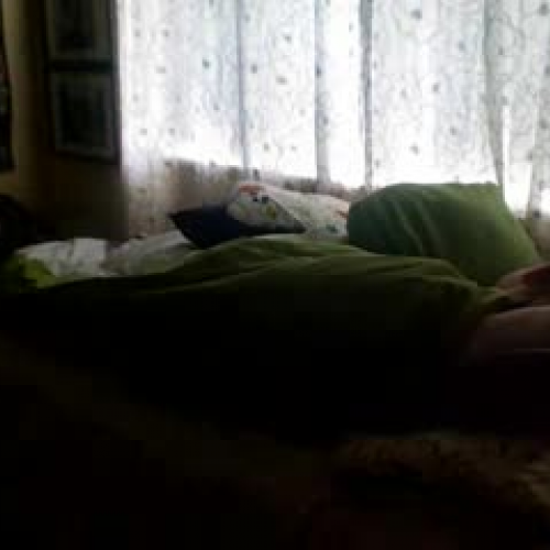 Describe the Family Visual Assignment