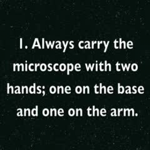 How to use a microscope properly