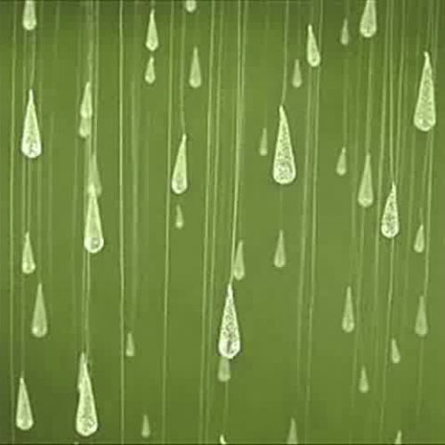 Rain_Craig and Riley