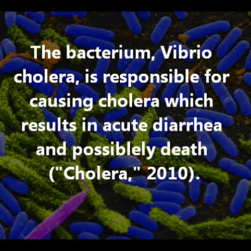 Module 4 Public Service Health Announcement