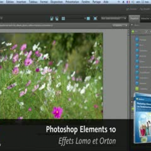 Adobe Photoshop Elements 10 : Effets Lomo et 