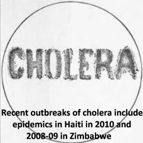 Cholera