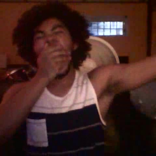 03.02 Describe the Family Visual Presentation