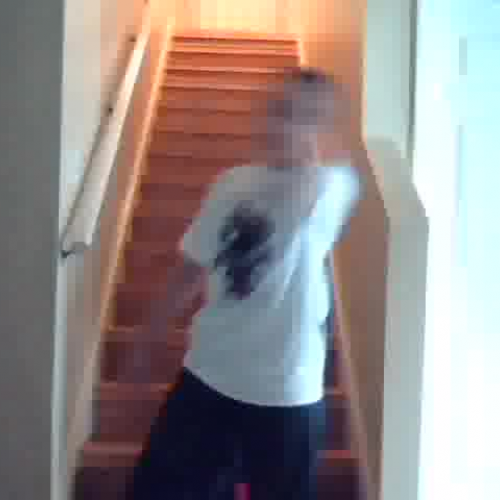 03.02 Describe the Family Visual Presentation