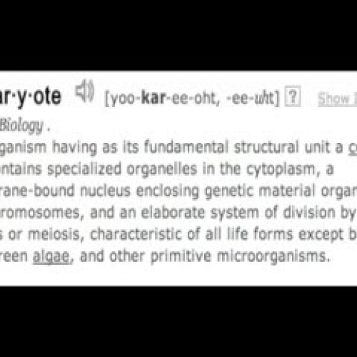 Vocabulary Digital Story