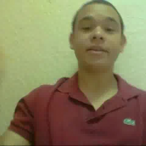 Describe the family visual presentation