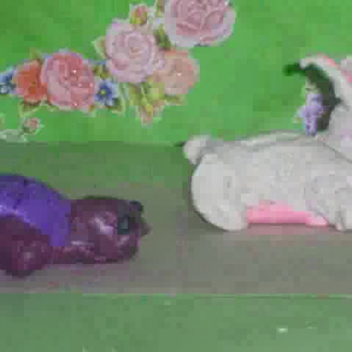 The Hare and The Tortoise