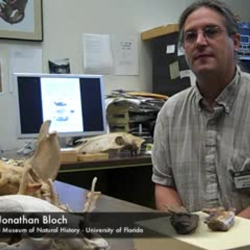 Museum study shows newly described extinct ca