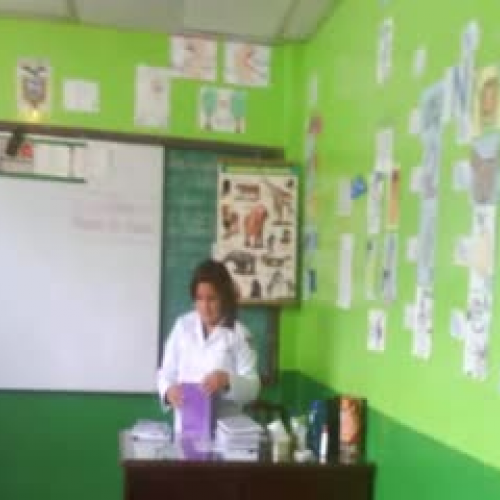 experiencias educativas