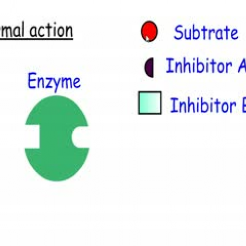 Enzyme inhibition