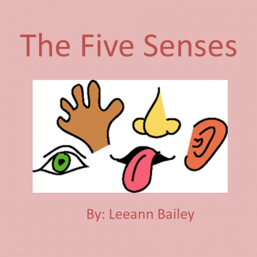 The Five Senses