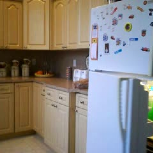 3.02 Describe the Family Visual Presentation