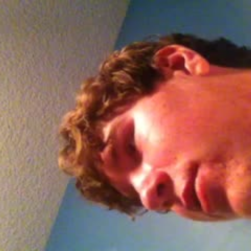 3.02 Visual presentation FLVS