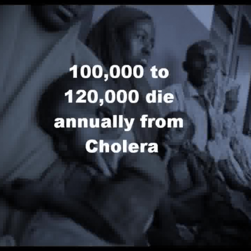 Vibrio Cholerae: Waterborne Disease