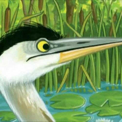 Henry the Impatient Heron