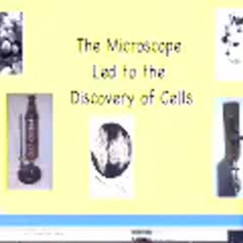 The microscope led to the discovery of cells