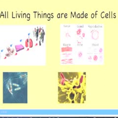 All living things are made of cells