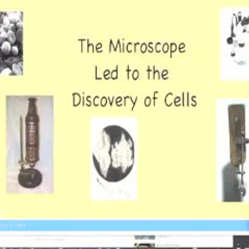 The microscope led to the discovery of cells