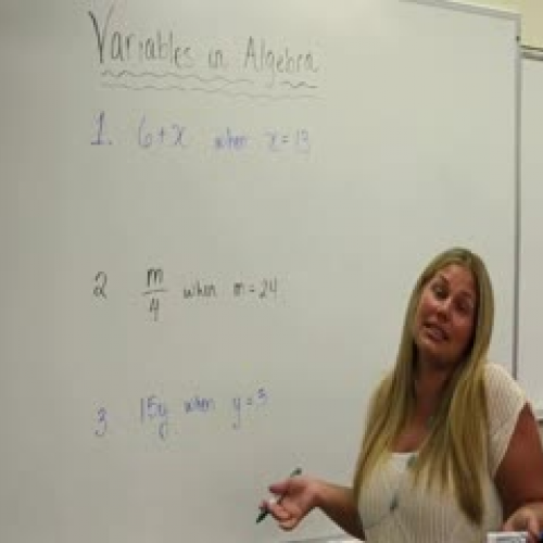 Variables in Algebra