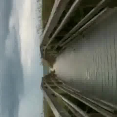 Vast Ocean, Small Life