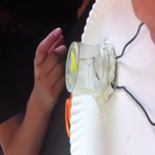 Light Bulb Model