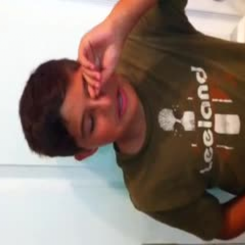 3.02 - Describe the Family Visual Presentatio