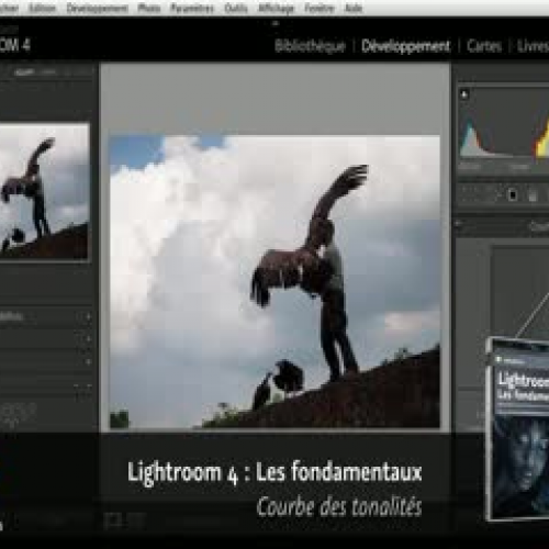 Adobe Lightroom 4 : Courbe des tonalités