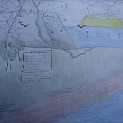 The Water Cycle