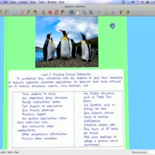 A Discipline Pyramid