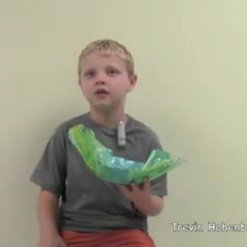 1st grade ART Dale Chihuily QT