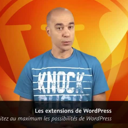 video2brain - Les extensions de WordPress