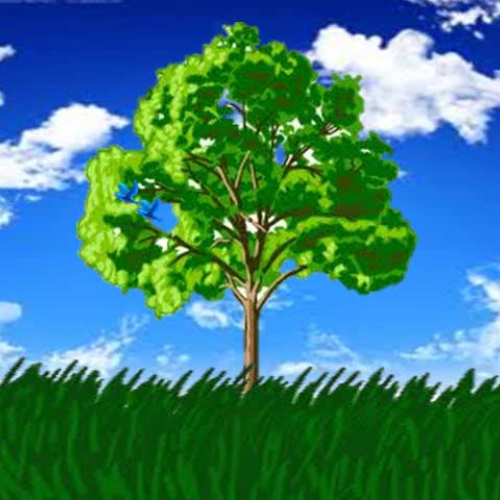 Toupao Xiong PP Movie