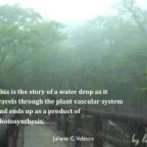 TSL5085-Pantoja-Velasco  