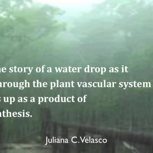 Vocabulary Digital Story TSL5085-Pantoja-Vela