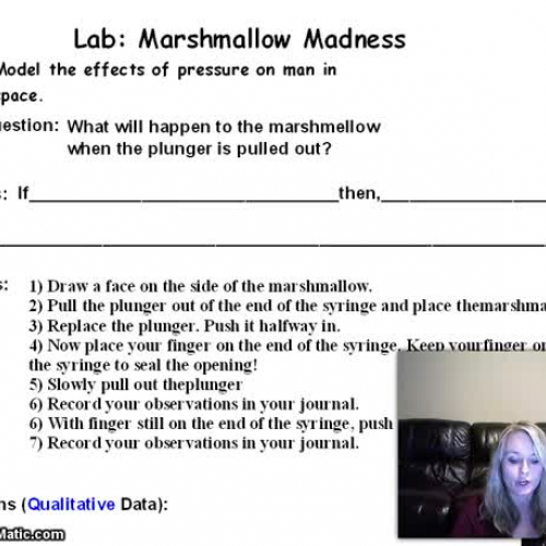 Marshmallow Madness Lab Video