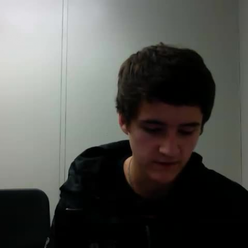 4thstlaurentmockingjay