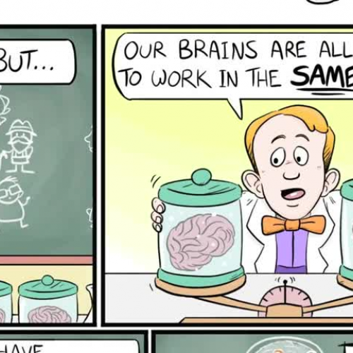 The Science Behind Know-It-All