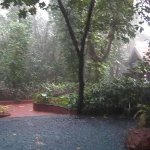 monsoon rain