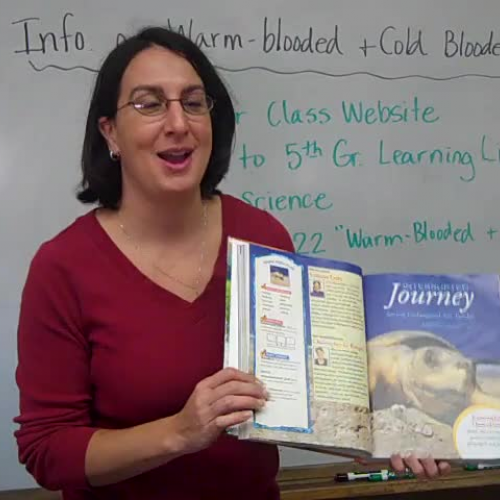 Warm and Cold blooded animals writing project